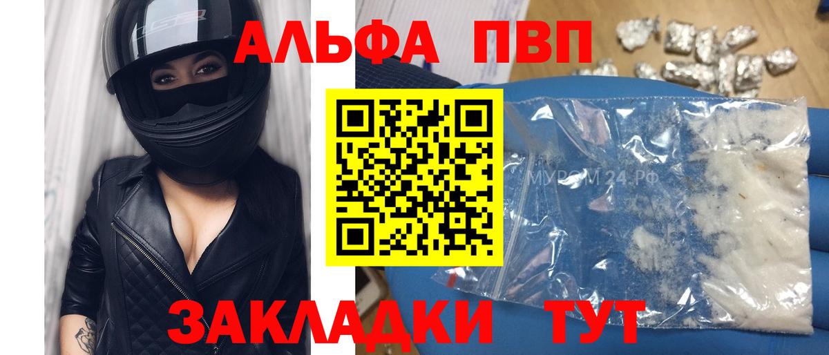 Альфа ПВП крисы CK  Вход с VPN  Камышлов  A-PVP крисы CK  Alfa_PVP СК КРИС 