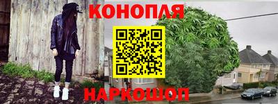 гидра Краснокаменск