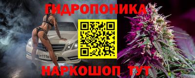 гидра Краснокаменск