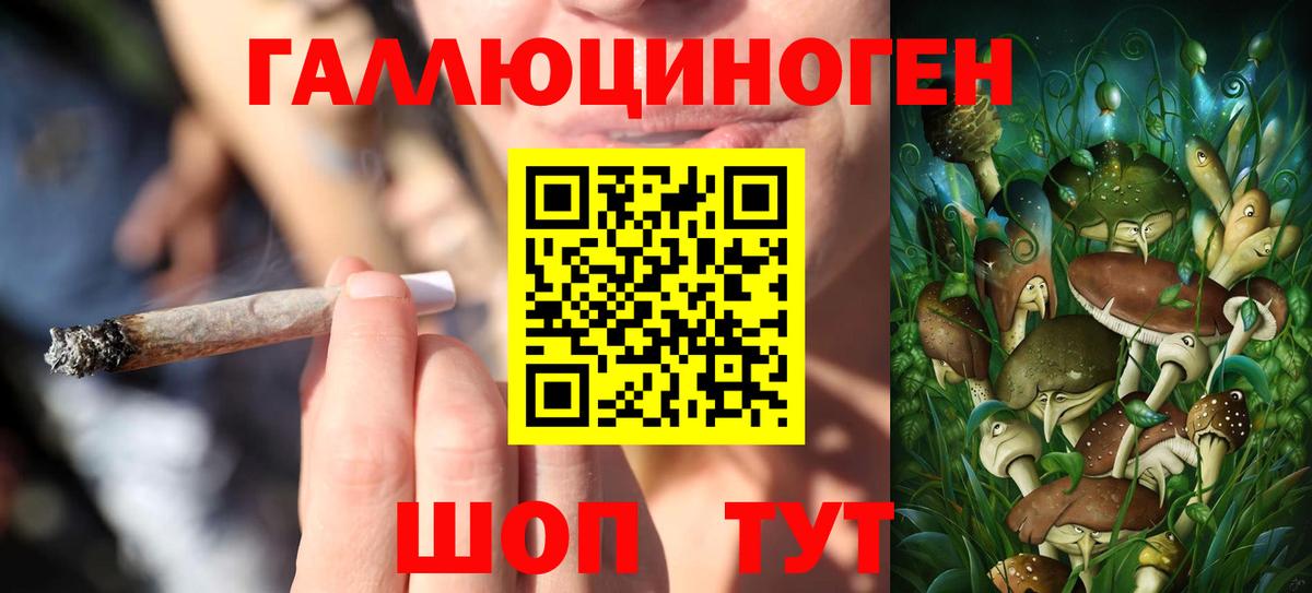 Галлюциногенные грибы Cubensis  цены   Камышлов  Вход с VPN 