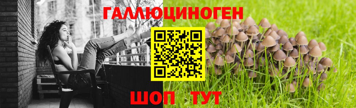Галлюциногенные грибы GOLDEN TEACHER Камышлов